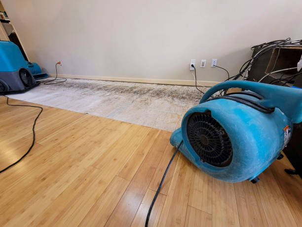 Professional Water Damage Repair technician working in Wilbur, WA
